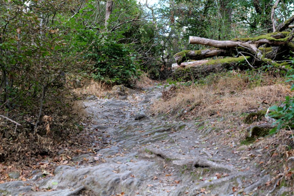 Burghain Falkenstein 2020-08-18 21