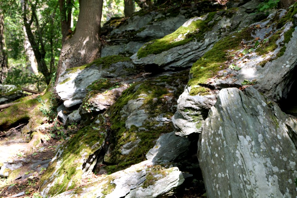 Burghain Königstein 2020-08-18 35