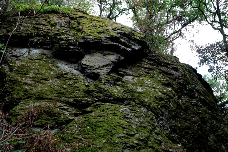 Burghain Falkenstein 2020-08-18 04