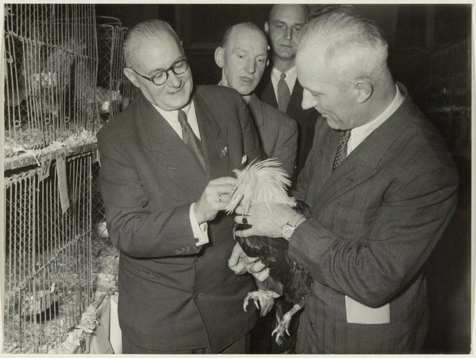 Burgemeester Cremers (r) op de pluimvee tentoonstelling in het Concertgebouw, NL-HlmNHA 54010718