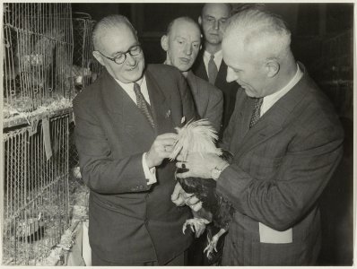 Burgemeester Cremers (r) op de pluimvee tentoonstelling in het Concertgebouw, NL-HlmNHA 54010718