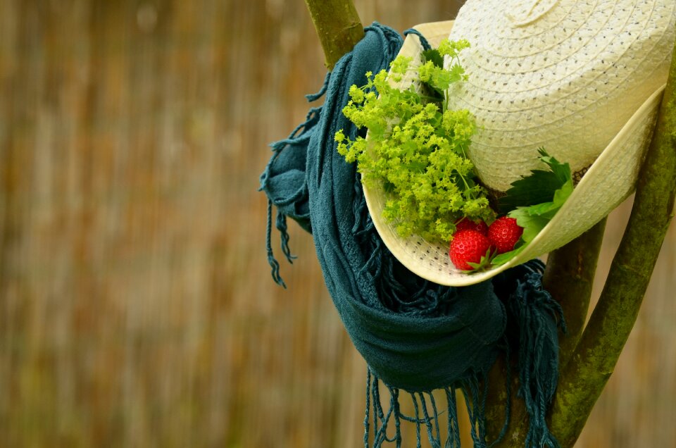 Scarf strawberries frauenmantel