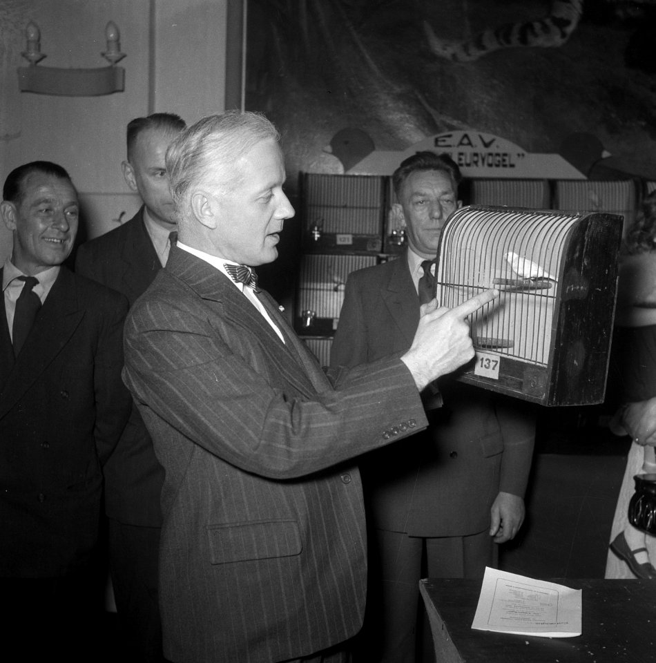 Burgemeester Amsterdam dAilly op kanarietentoonstelling Artis, Bestanddeelnr 906-1042
