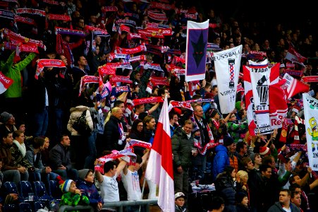 Bundesliga FC Red Bull Salzburg gegen SV Grödig 41