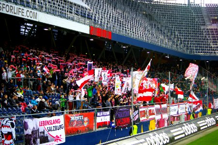Bundesliga FC Red Bull Salzburg gegen SV Grödig 42