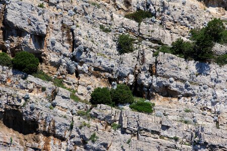 Kornati islands national park nature photo