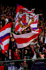 Bundesliga FC Red Bull Salzburg gegen SV Grödig 29