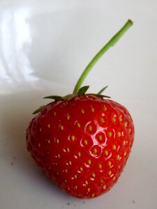Red sweet nature