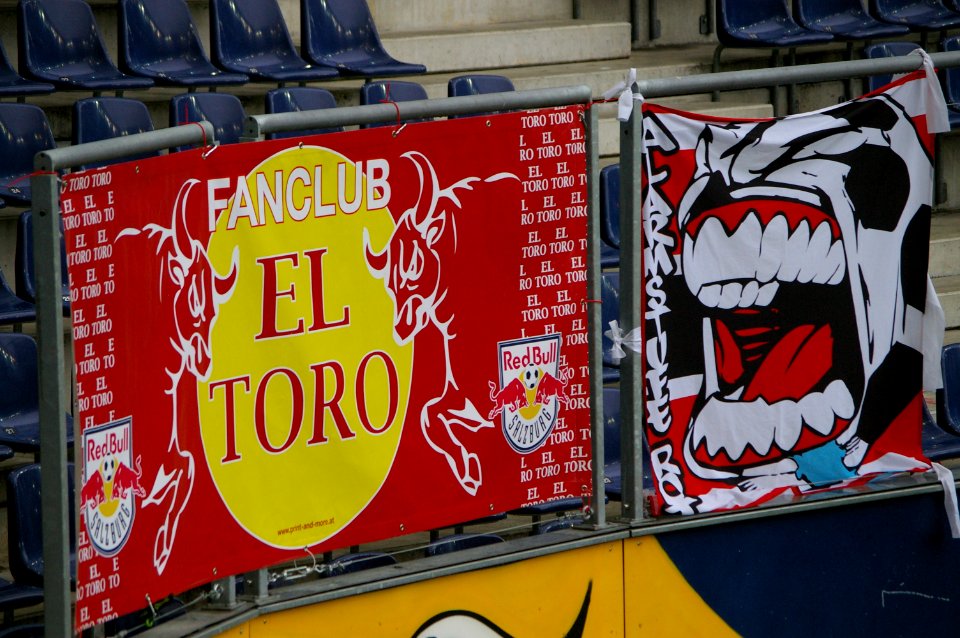 Bundesliga FC Red Bull Salzburg gegen SC Wiener Neustadt 46