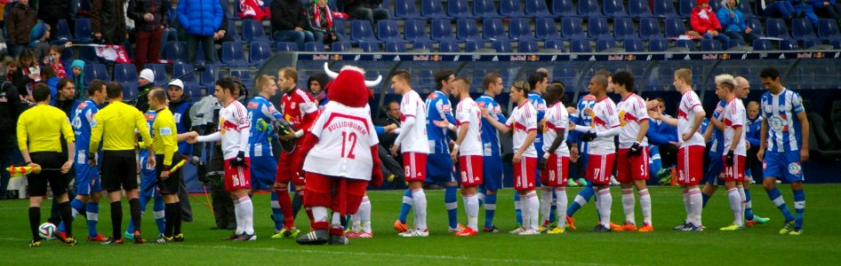 Bundesliga FC Red Bull Salzburg versus SC Wiener Neustadt 08