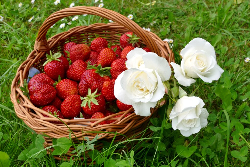 Summer fruits flowers