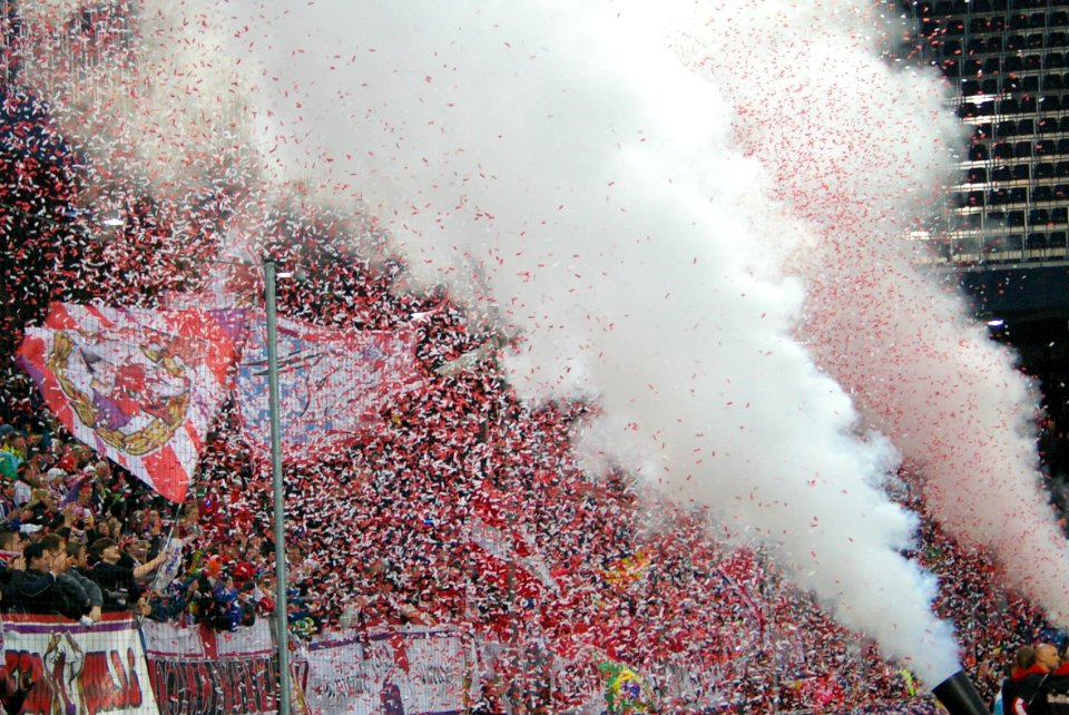 Bundesliga FC Red Bull Salzburg vs SC Wiener Neustadt 36