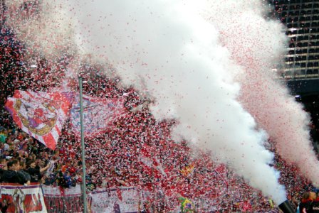 Bundesliga FC Red Bull Salzburg vs SC Wiener Neustadt 36
