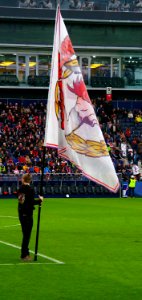 Bundesliga FC Red Bull Salzburg gegen SV Grödig 24