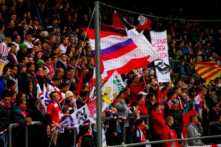 Bundesliga FC Red Bull Salzburg gegen SK Rapid Wien 49