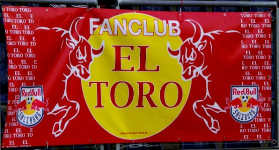 Bundesliga FC Red Bull Salzburg gegen SV Grödig 03