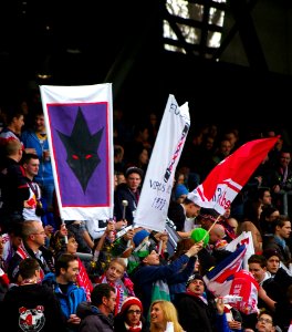 Bundesliga FC Red Bull Salzburg gegen SV Grödig 14