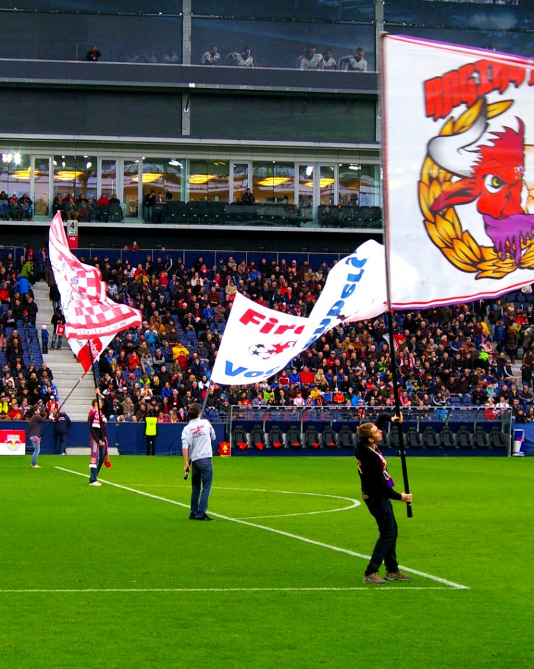 Bundesliga FC Red Bull Salzburg gegen SV Grödig 26