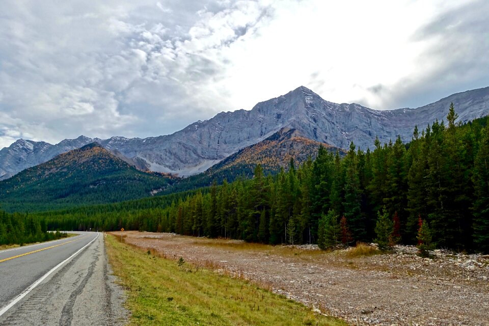 Highway transportation landscape