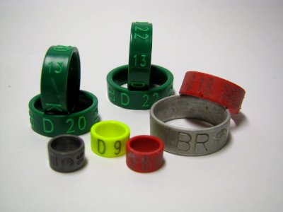 Bundesringe des BDRG 24