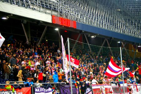 Bundesligas FC Salzburg gegen Grödig 22