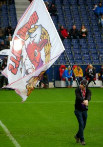 Bundesliga FC Red Bull Salzburg gegen SC Wiener Neustadt 50