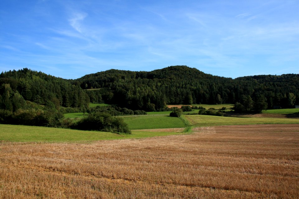 Burgstall Werdenstein01