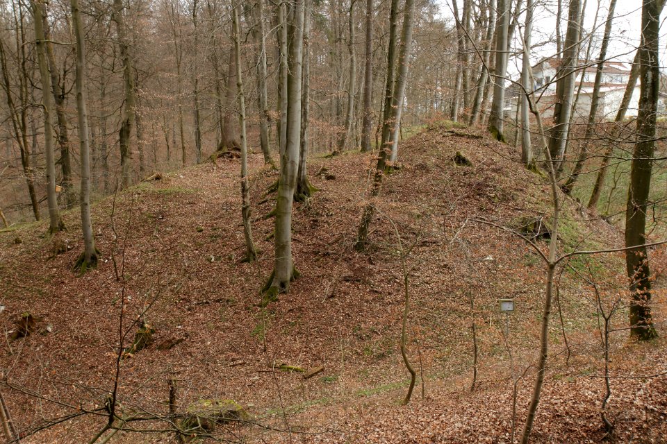 Burgstall Rothenfels01