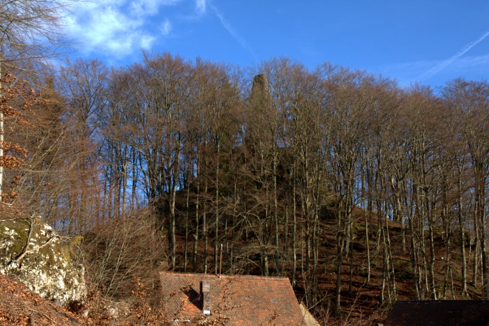 Burgruine Wildenfels01
