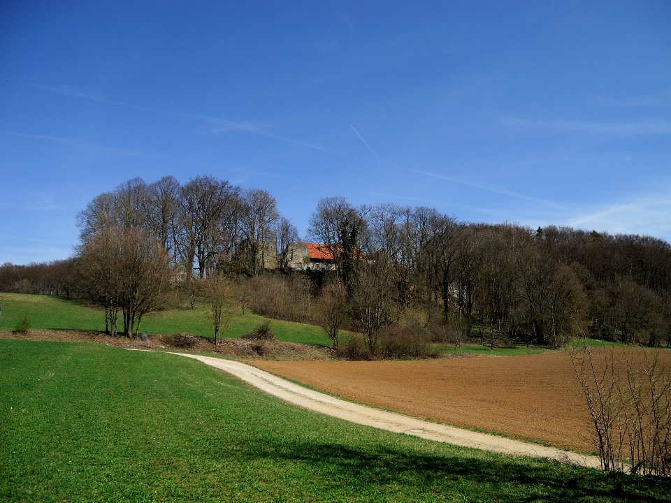 Burgruine Winterstein01