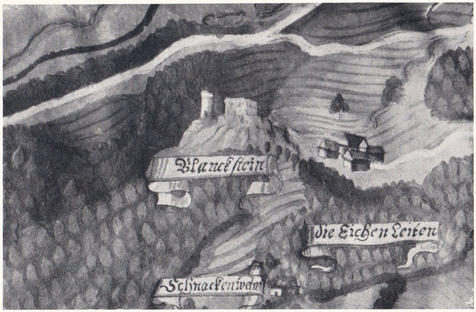 Burgstall Plankenstein(Oberfranken)15