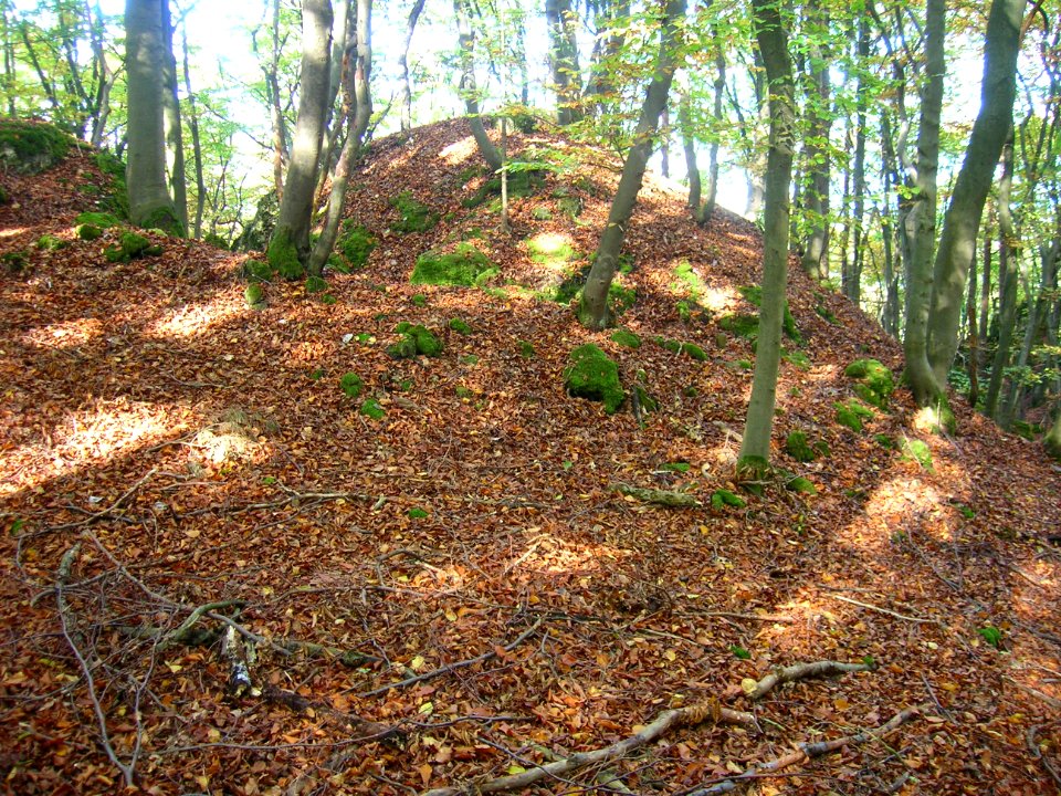 Burgstall auf der Hasenleite02