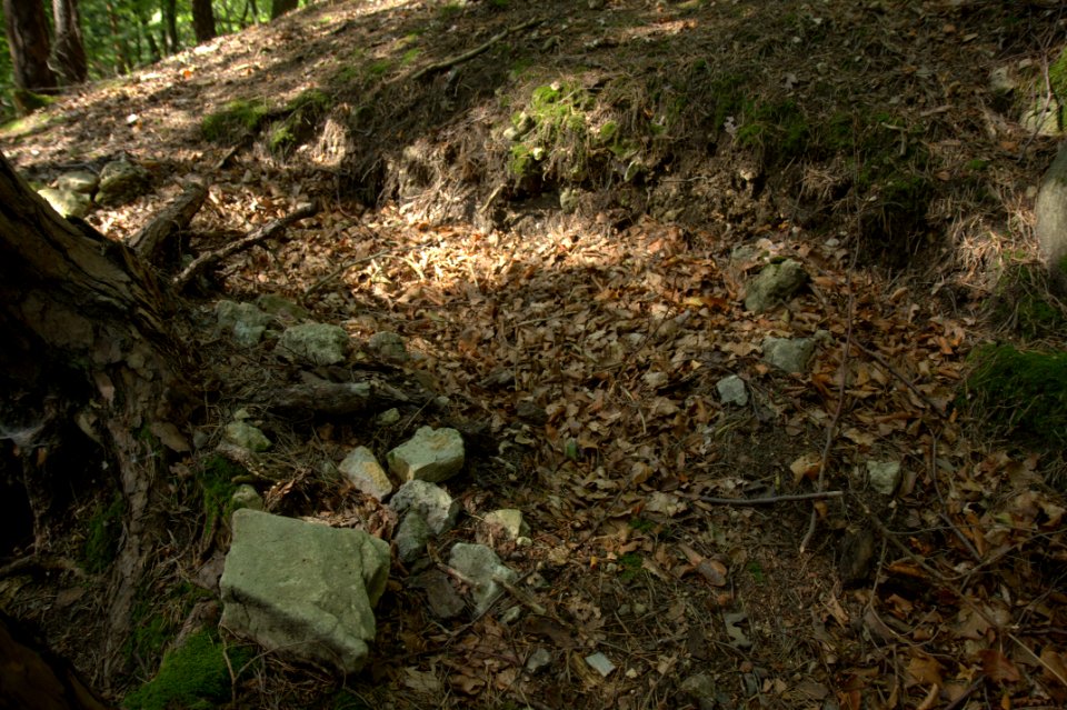 Burgstall Werdenstein04