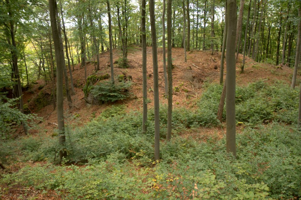 Burgstall Rotenstein01