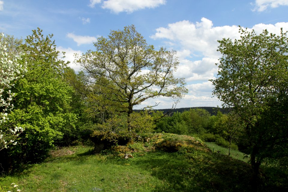 Burgstall Plankenstein(Oberfranken)05
