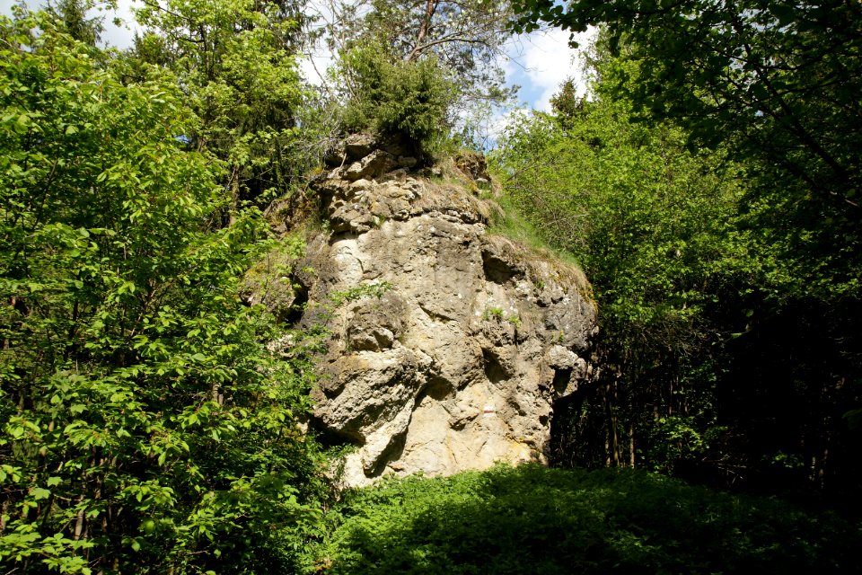 Burgstall Plankenstein(Oberfranken)03