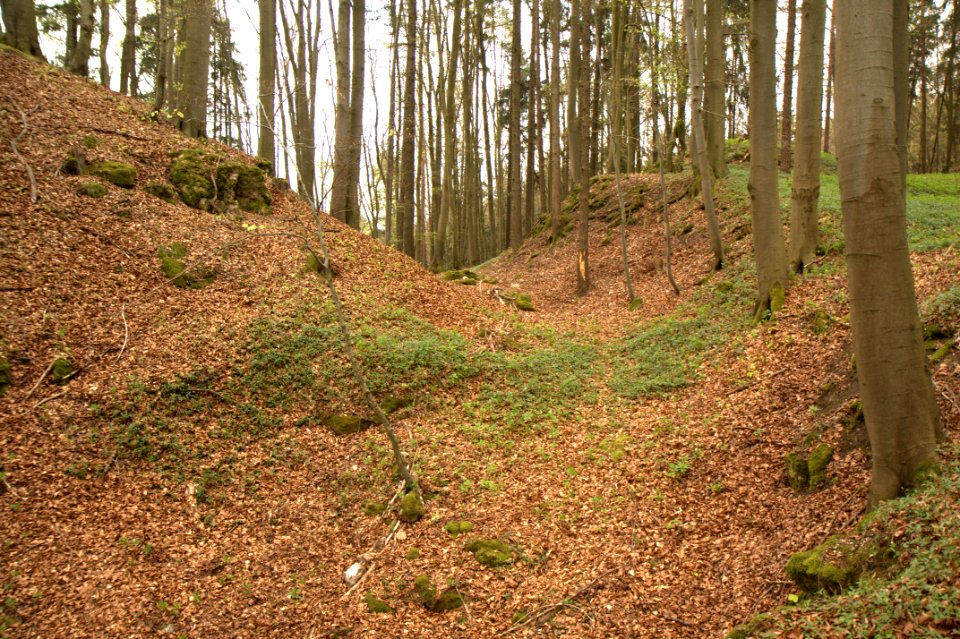 Burgstall Scharfenberg04