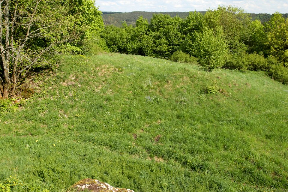 Burgstall Plankenstein(Oberfranken)14