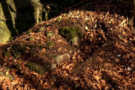 Burgstall Hienberg17