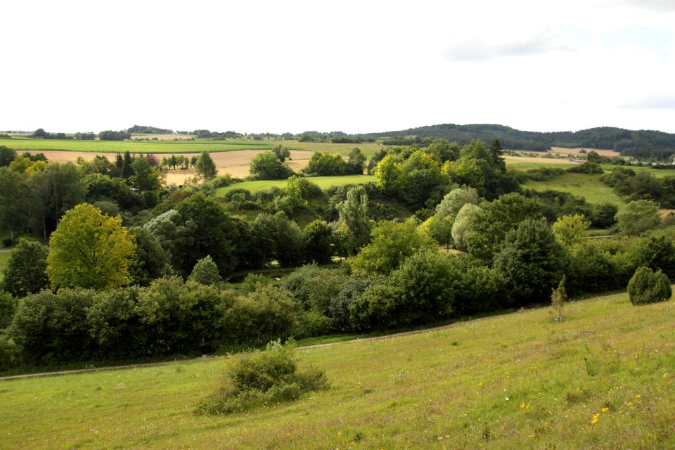 Burgstall Hofberg01