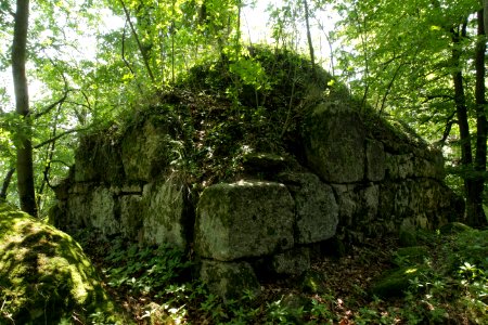 Burgstall Zangenfels 01