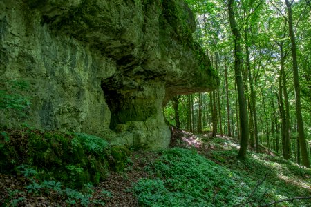 Burgstall Plankenstein11