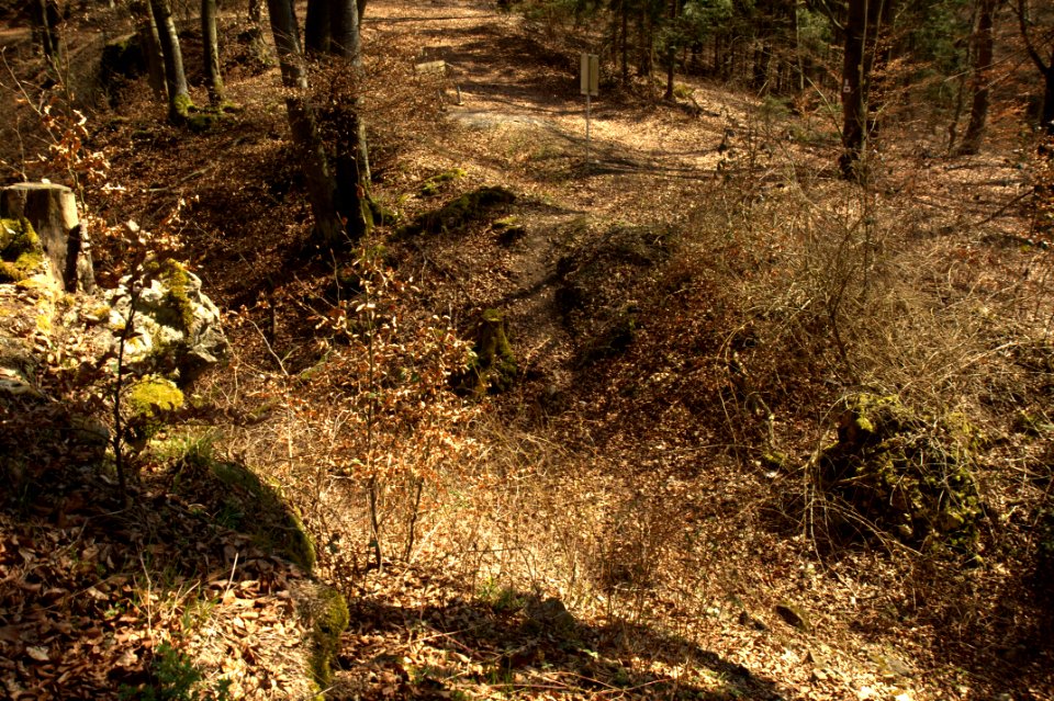 Burgstall Löweneck13
