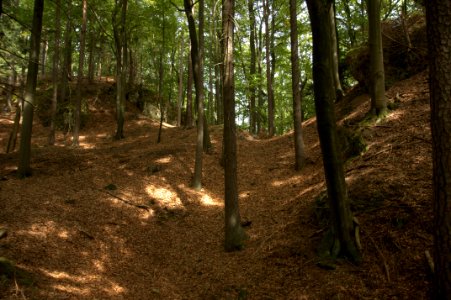 Burgstall Im Alten Haus05