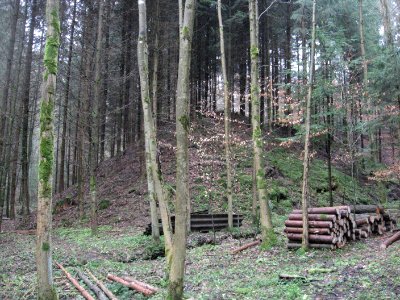 Burgstall Holenstein, Spitze des Burghügels, Blick nach SSE, nah