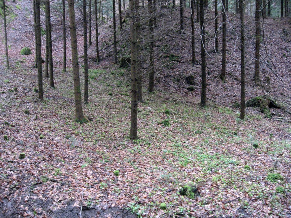 Burgstall Holenstein, Burghügels und hintere Scharte, Blick nach W von der jenseitigen Böschung der kleinen Talmulde des Reutebachs