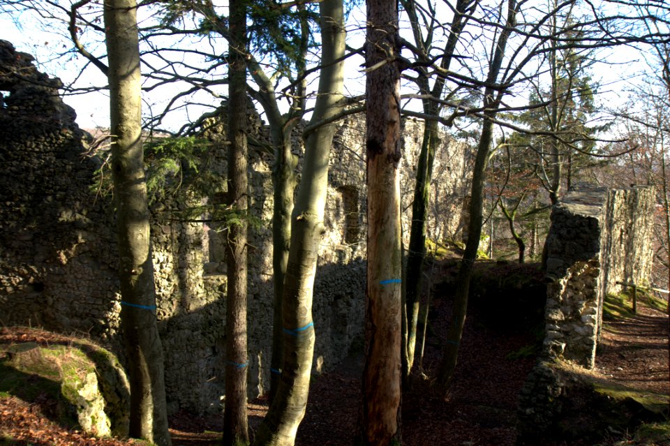 Burgruine Wildenfels06