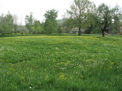 Burgstall Kottspiel aus NW