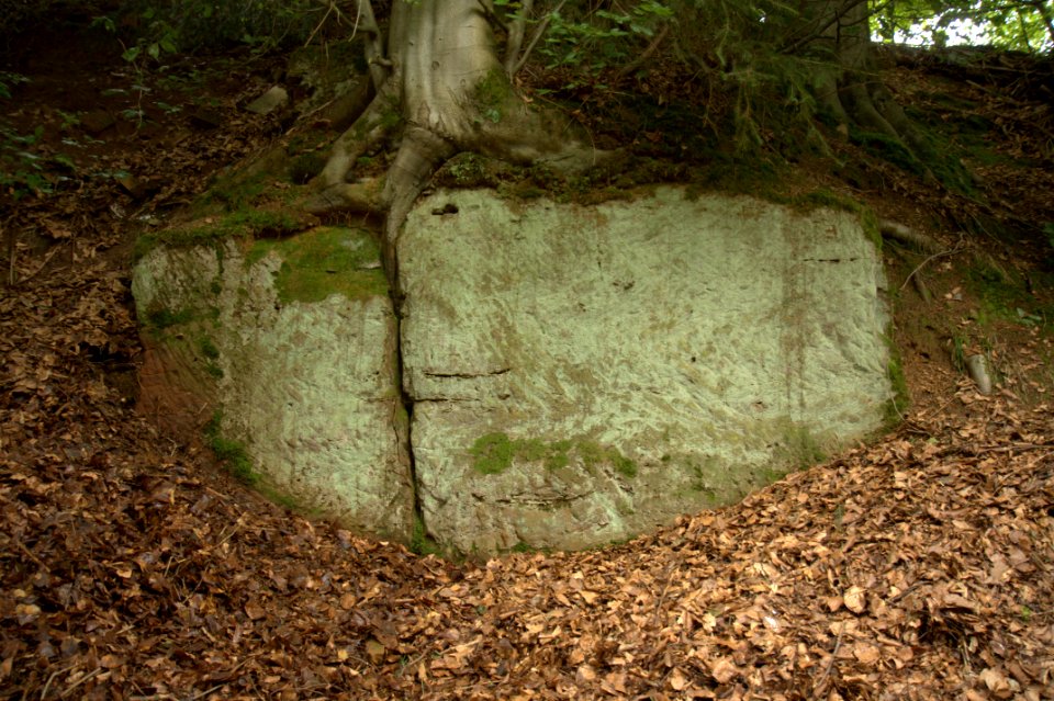 Burgstall Hohenrasch03