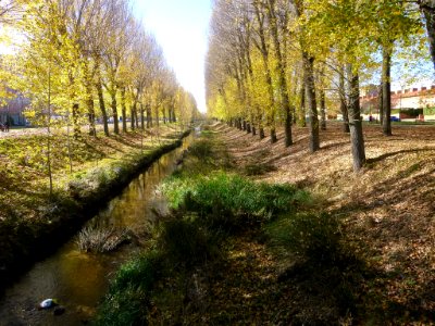 Burgos - Río Vena 1